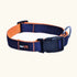 Classic Collar Multi-colour